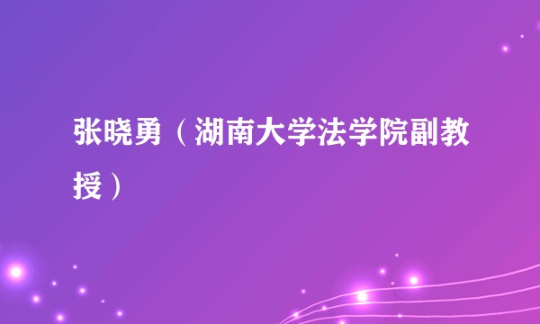 张晓勇（湖南大学法学院副教授）