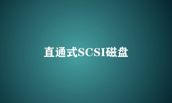 直通式SCSI磁盘