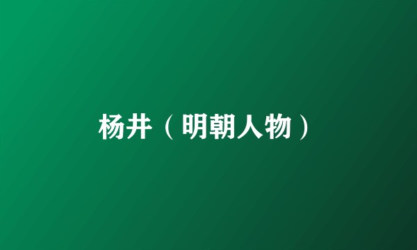 杨井（明朝人物）