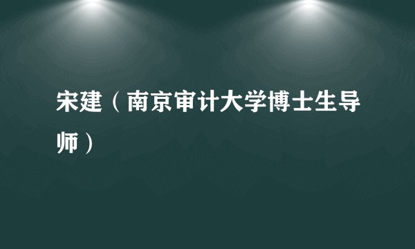 宋建（南京审计大学博士生导师）