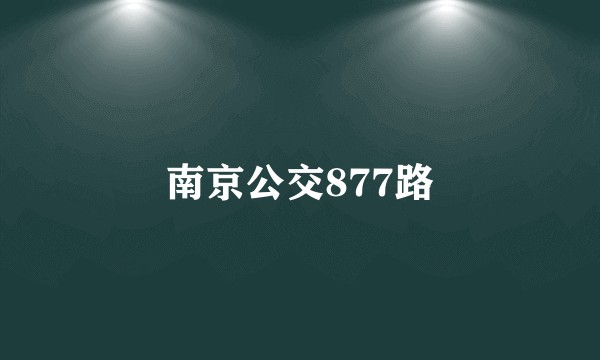 南京公交877路