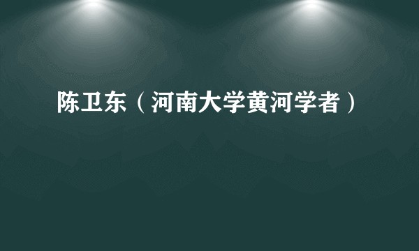 陈卫东(河南大学黄河学者)