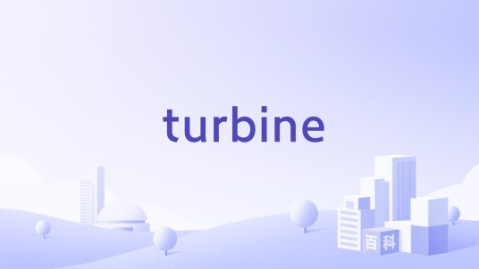 turbine（美国电脑游戏开发公司）