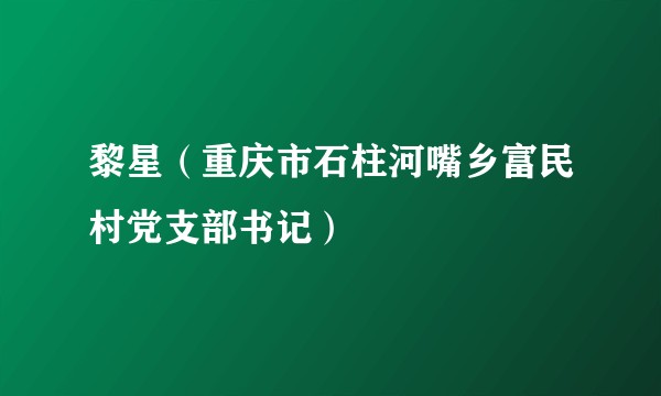 黎星（重庆市石柱河嘴乡富民村党支部书记）