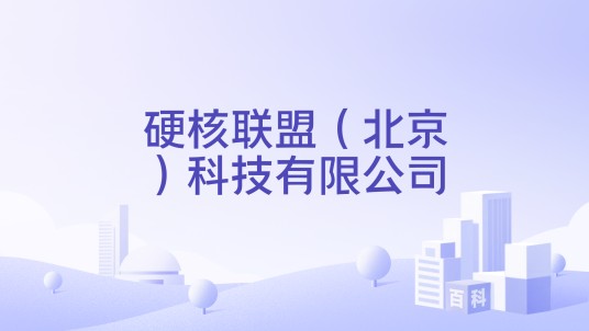 硬核联盟(北京)科技有限公司