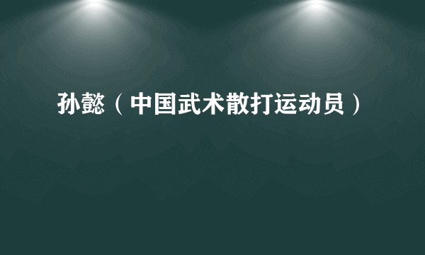 孙懿（中国武术散打运动员）