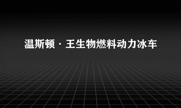 温斯顿·王生物燃料动力冰车