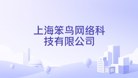上海笨鸟网络科技有限公司