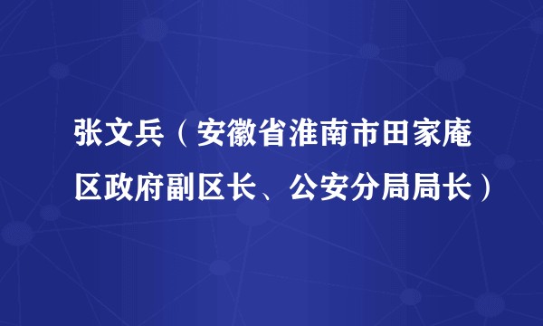 张文兵(安徽省淮南市田家庵区政府副区长、公安分局局长)