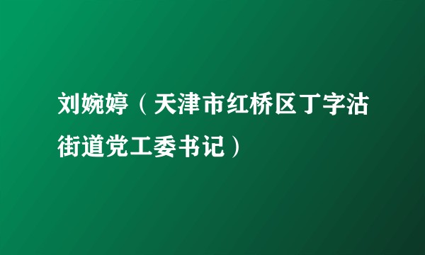 刘婉婷(天津市红桥区丁字沽街道党工委书记)