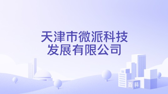 天津市微派科技发展有限公司