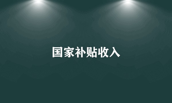 国家补贴收入