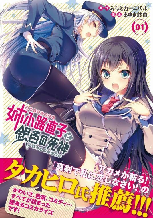 姐小路直子与银色的死神（あゆま纱由改编的漫画作品）