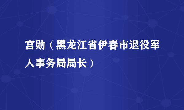 宫勋（黑龙江省伊春市退役军人事务局局长）