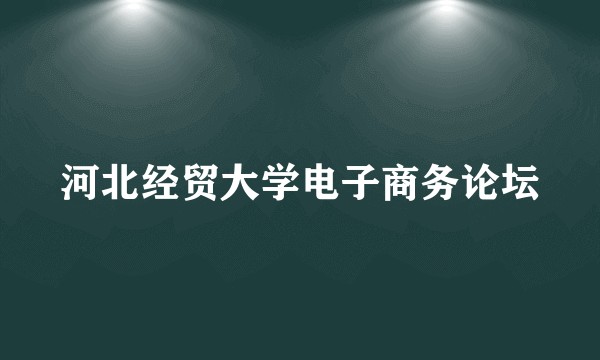 河北经贸大学电子商务论坛