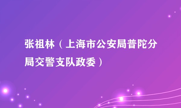 张祖林（上海市公安局普陀分局交警支队政委）