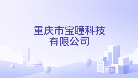 重庆市宝瞳科技有限公司