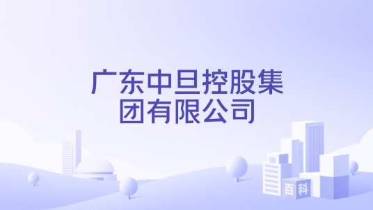 广东中旦控股集团有限公司