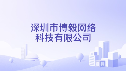 深圳市博毅网络科技有限公司