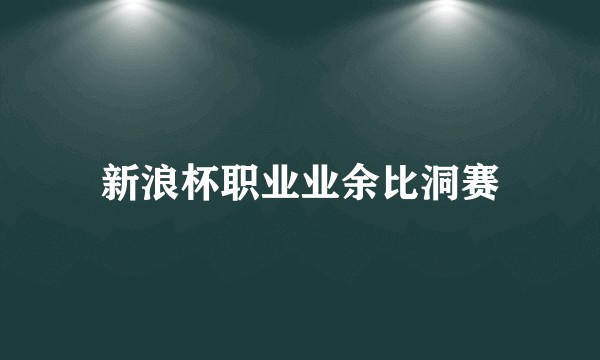 新浪杯职业业余比洞赛