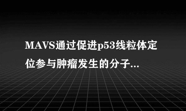 MAVS通过促进p53线粒体定位参与肿瘤发生的分子机制研究