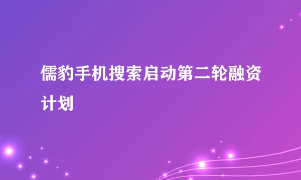 儒豹手机搜索启动第二轮融资计划
