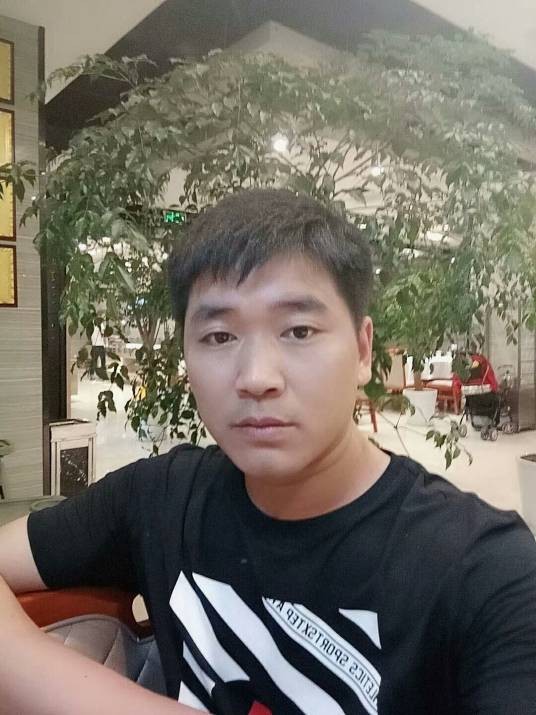 王飞鸿（书法家）