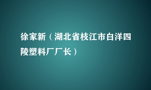 徐家新（湖北省枝江市白洋四陵塑料厂厂长）