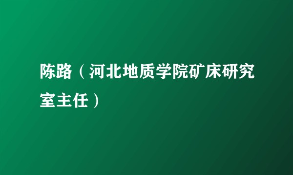 陈路（河北地质学院矿床研究室主任）