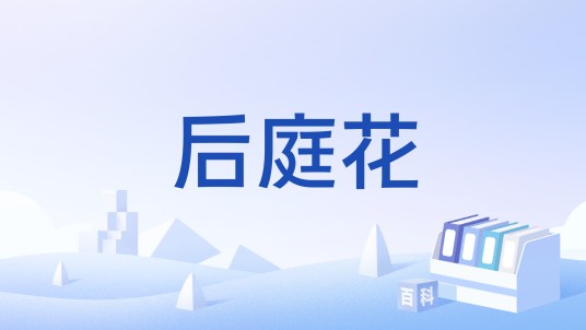 后庭花（曲牌名）