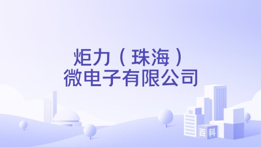 炬力（珠海）微电子有限公司