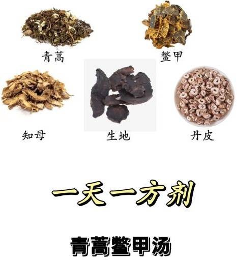 加减青蒿鳖甲汤