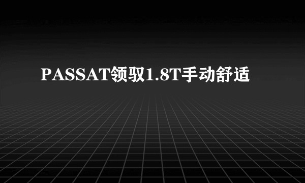 PASSAT领驭1.8T手动舒适