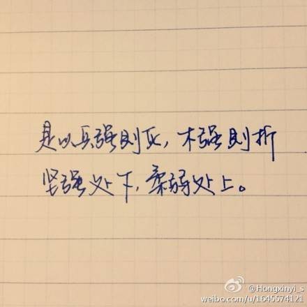 兵强则灭，木强则折