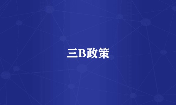 三B政策
