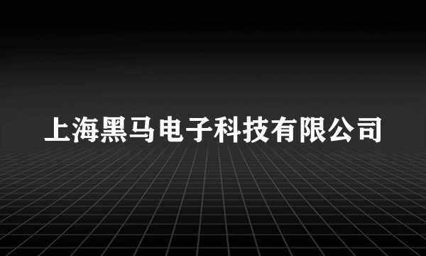 上海黑马电子科技有限公司