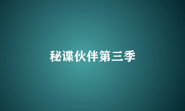 秘谍伙伴第三季