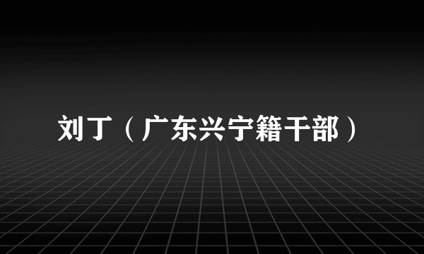 刘丁（广东兴宁籍干部）