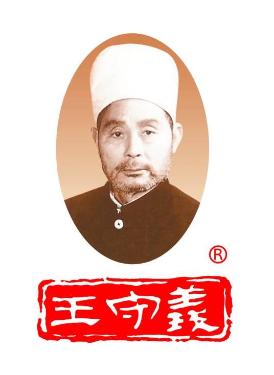 驻马店市王守义十三香调味品集团有限公司