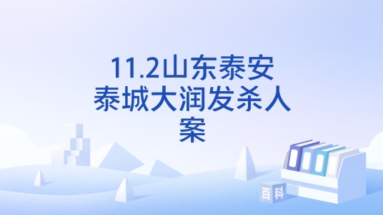 11.2山东泰安泰城大润发杀人案