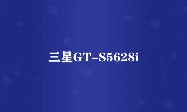 三星GT-S5628i