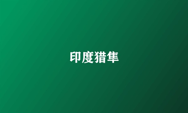 印度猎隼