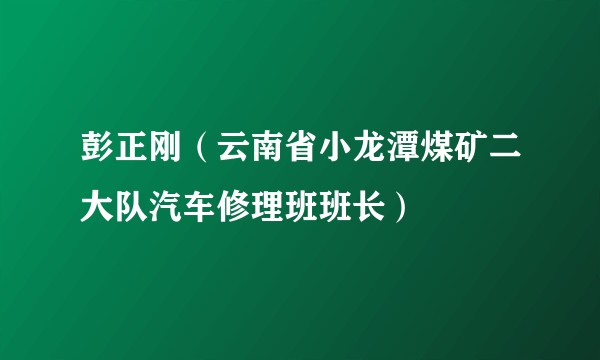 彭正刚（云南省小龙潭煤矿二大队汽车修理班班长）