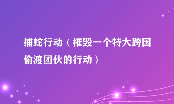 捕蛇行动（摧毁一个特大跨国偷渡团伙的行动）