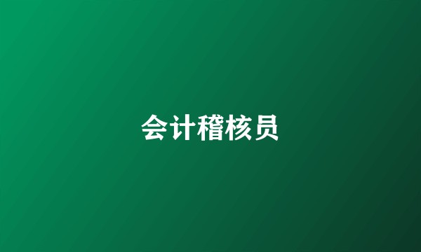 会计稽核员