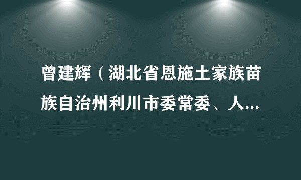 曾建辉(湖北省恩施土家族苗族自治州利川市委常委、人武部部长)