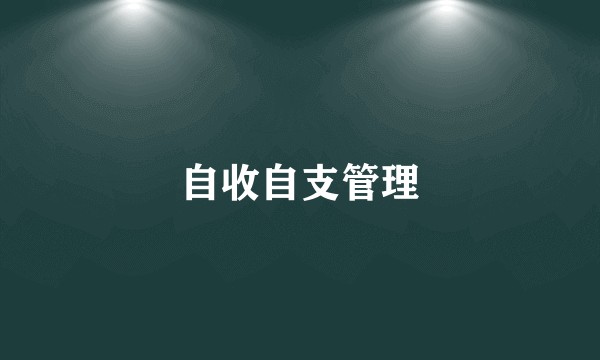 自收自支管理
