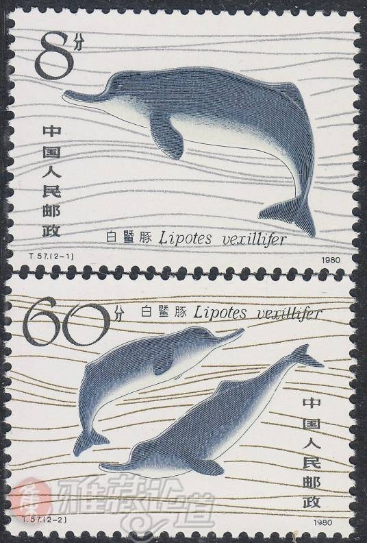 白鱀豚（1980年中国发行的特种邮票）