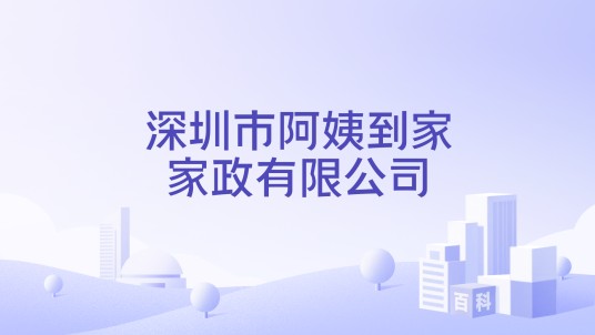 深圳市阿姨到家家政有限公司