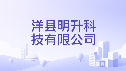 洋县明升科技有限公司